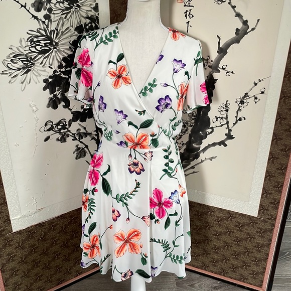 Express Flutter sleeve Dress - Picture 1 of 5